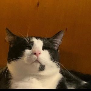 Meet your Posher, Johnny